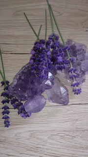 Amethyst Lavendel, Kräuterhoch³ Wildpflanzenschule im Chiemgau
