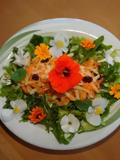 Apfel-Möhrensalat basisch mit Wildkräutern, Kräuterhoch³ Wildpflanzenschule im Chiemgau