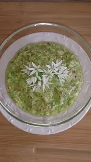 Bärlauchblütenpesto, Kräuterhoch³ Wildpflanzenschule im Chiemgau