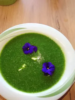 Bärlauchsuppe 2022, Kräuterhoch³ Wildpflanzenschule im Chiemgau