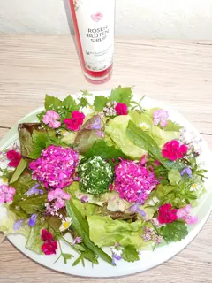 Blütensalat mit Frischkäsepralinen, Kräuterhoch³ Wildpflanzenschule im Chiemgau