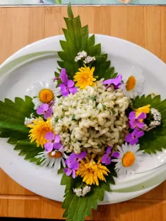Brennesselrisotto, Kräuterhoch³ Wildpflanzenschule im Chiemgau