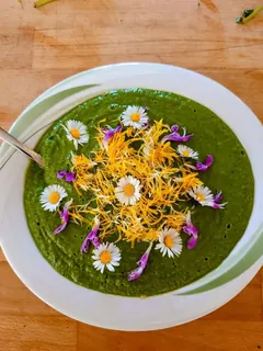 Brennesselsuppe mit Blüten, Kräuterhoch³ Wildpflanzenschule im Chiemgau