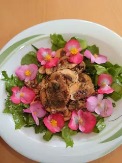Champignons mit Tomatenvinigrette auf Blattsalat getopt mit Brennesselsamen, Kräuterhoch³ Wildpflanzenschule im Chiemgau