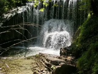 CIMG0467, Kräuterhoch³ Wildpflanzenschule im Chiemgau
