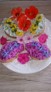 Croustini mit Ziegenfrischkäse und Kräutern, Kräuterhoch³ Wildpflanzenschule im Chiemgau