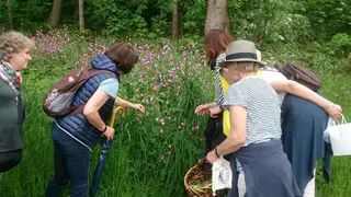 Familienkräuterwanderung Tinninger See-ed431161, Kräuterhoch³ Wildpflanzenschule im Chiemgau