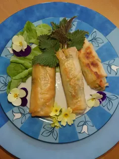 Frühlingskräuterröllchen mit Brennessel und Cashew, Kräuterhoch³ Wildpflanzenschule im Chiemgau