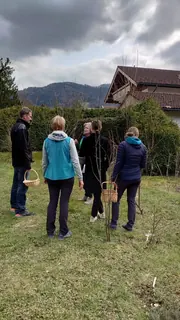 Gemmotherapie Seminar 2023 - 1, Kräuterhoch³ Wildpflanzenschule im Chiemgau