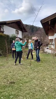 Gemmotherapie Seminar 2023 - 2, Kräuterhoch³ Wildpflanzenschule im Chiemgau