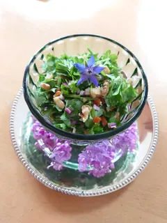 Giersch-Petersiliensalat, Kräuterhoch³ Wildpflanzenschule im Chiemgau