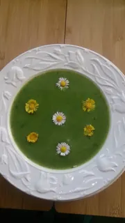 Gründonnerstagsuppe, Kräuterhoch³ Wildpflanzenschule im Chiemgau