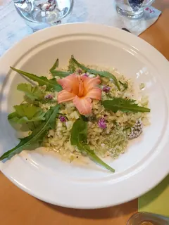 Gundermannsalat, Kräuterhoch³ Wildpflanzenschule im Chiemgau