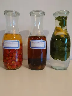Herbstansätze Hagebuttenlikör- Engelwurzlikör- Brennesselsirup, Kräuterhoch³ Wildpflanzenschule im Chiemgau