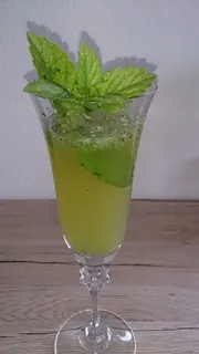 Holunderblüten-Gurke-Cocktail mit Minze, Kräuterhoch³ Wildpflanzenschule im Chiemgau