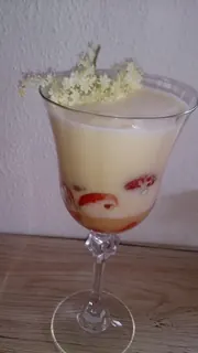 Holunderblüten-Zabaione, Kräuterhoch³ Wildpflanzenschule im Chiemgau