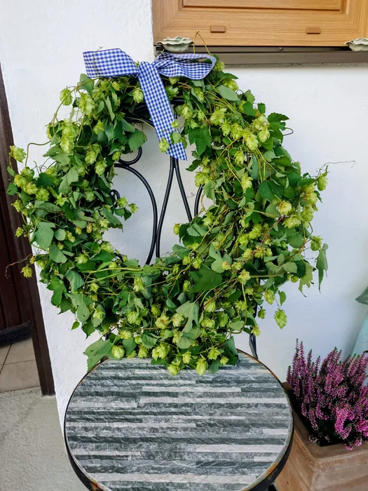 Hopfenkranz, Kräuterhoch³ Wildpflanzenschule im Chiemgau