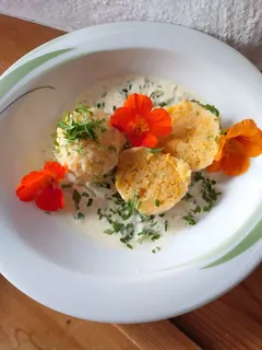 Karotten-Ingwerknödel, Kräuterhoch³ Wildpflanzenschule im Chiemgau