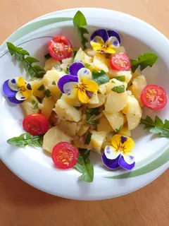 Kartoffelsalat mit jungen Löwenzahnblättern, Kräuterhoch³ Wildpflanzenschule im Chiemgau