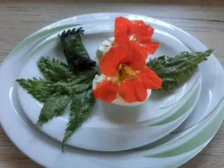 Kräutereier mit Brennesselchips, Kräuterhoch³ Wildpflanzenschule im Chiemgau