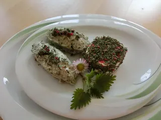 Kräuternockerl mit Brennessel Ziegenkäse, Kräuterhoch³ Wildpflanzenschule im Chiemgau