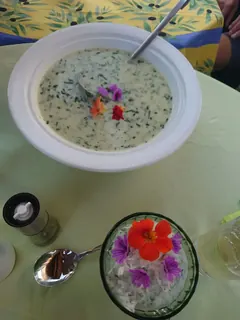 Kräuterwanderung 31.08.24 - Spitzwegerichsuppe, Kräuterhoch³ Wildpflanzenschule im Chiemgau