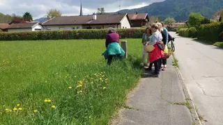 Kräuterwanderung 6.5.23 - 1, Kräuterhoch³ Wildpflanzenschule im Chiemgau