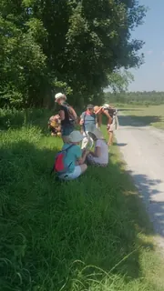 Kräuterwanderung Simssee 08.08.20 2, Kräuterhoch³ Wildpflanzenschule im Chiemgau