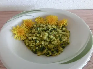 Löwenzahn-Brennessel-Risotto, Kräuterhoch³ Wildpflanzenschule im Chiemgau