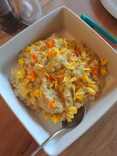 Ringelblumenrisotto, Kräuterhoch³ Wildpflanzenschule im Chiemgau