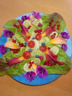 Rohkost aus dem Garten, Kräuterhoch³ Wildpflanzenschule im Chiemgau
