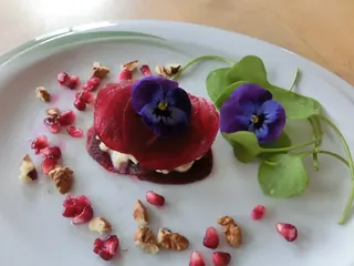 Rote Beete Sellerie-Apfel, Kräuterhoch³ Wildpflanzenschule im Chiemgau