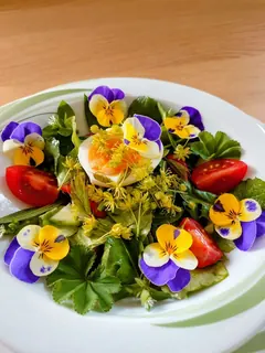 Salat mit Ahornblüten, Kräuterhoch³ Wildpflanzenschule im Chiemgau