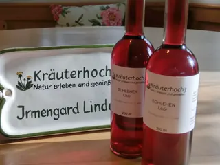 Schlehenlikör 2019, Kräuterhoch³ Wildpflanzenschule im Chiemgau