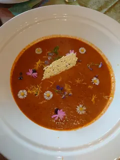 Spitzwegerich-Tomatensuppe mit Käsechip, Kräuterhoch³ Wildpflanzenschule im Chiemgau