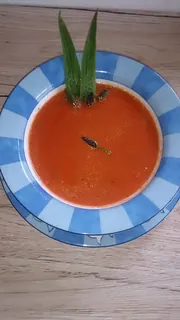 Tomaten-Spitzwegerich-Suppe, Kräuterhoch³ Wildpflanzenschule im Chiemgau