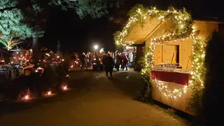 Weihnacht Bergen 22 -2, Kräuterhoch³ Wildpflanzenschule im Chiemgau