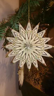 Weihnachtsstern von Mama, Kräuterhoch³ Wildpflanzenschule im Chiemgau