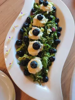 Wildkräutersalat mit Ziegenkäse und Blaubeeren, Kräuterhoch³ Wildpflanzenschule im Chiemgau