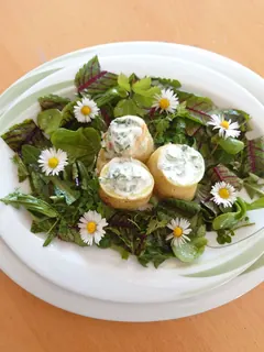 Zucchini gefüllt mit Bärlauchcreme auf Wildkräutersalat, Kräuterhoch³ Wildpflanzenschule im Chiemgau